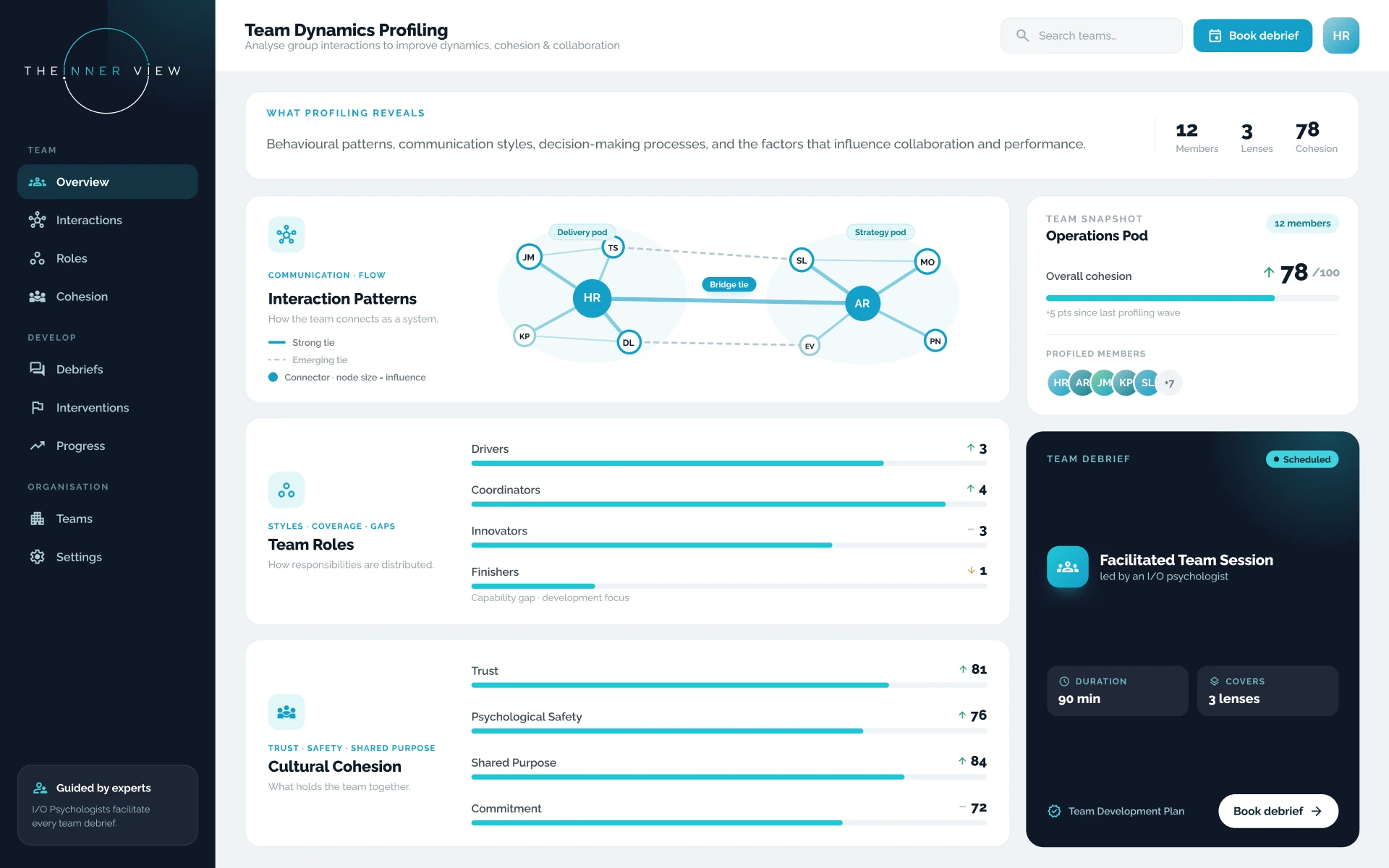 The Team Dynamics Profiling platform showing a team profile report linking assessment results to coaching