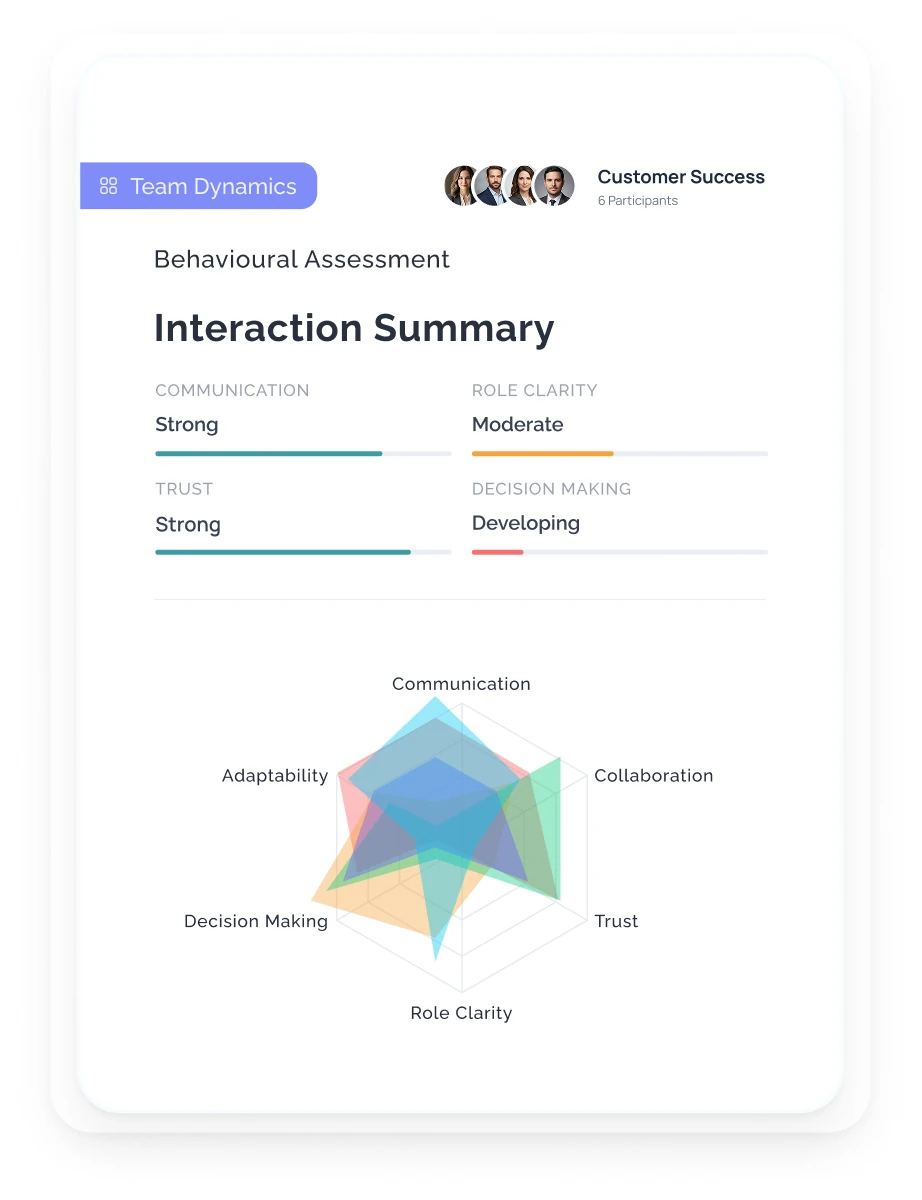 Team Dynamics Report sample visual