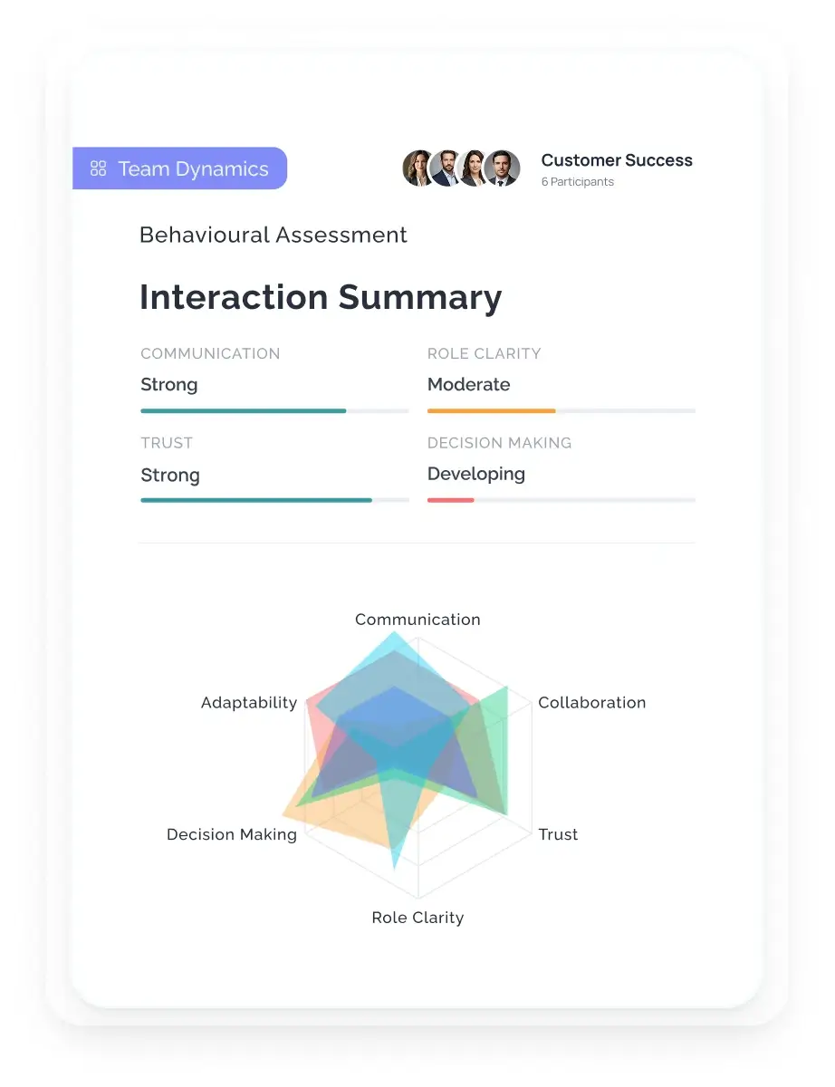 Team Dynamics Report sample visual